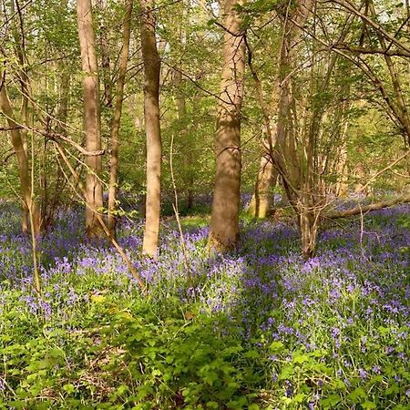 Bluebell Annexe Little Grandsen Exterior foto